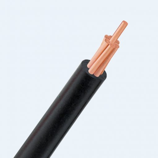 Ccdv Cv Dd Ccdv Cv Dd