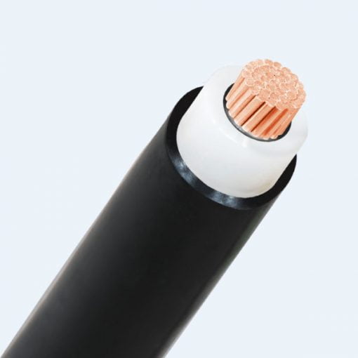 Ccdv Mv Cx1v Ccdv Mv Cx1v