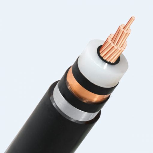 Ccdv Mv Cxv S Data Ccdv Mv Cxv S Data